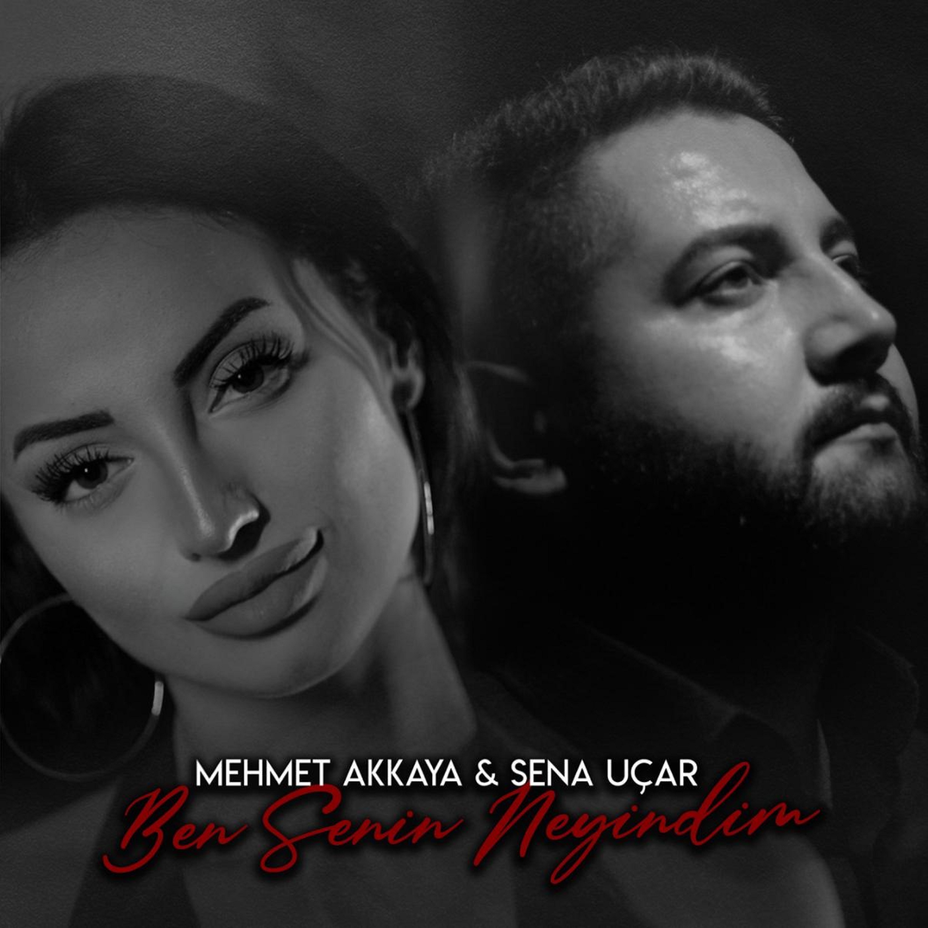 Ben Senin Neyindim - Single