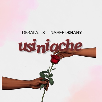 Usiniache - Single