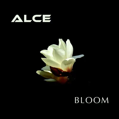 Ascolta 'Bloom - Single' di ALCE