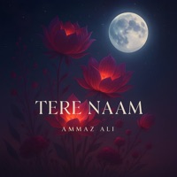 Tere Naam - Single - Ammaz Ali