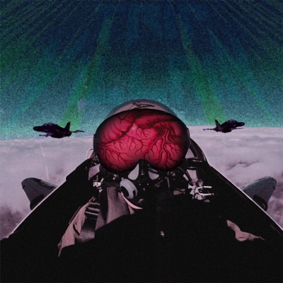 You Flew a Plane Into My Heart (feat. Goner) - Single