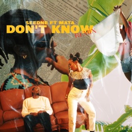 Don't Know (Remix) Seedné & Mata