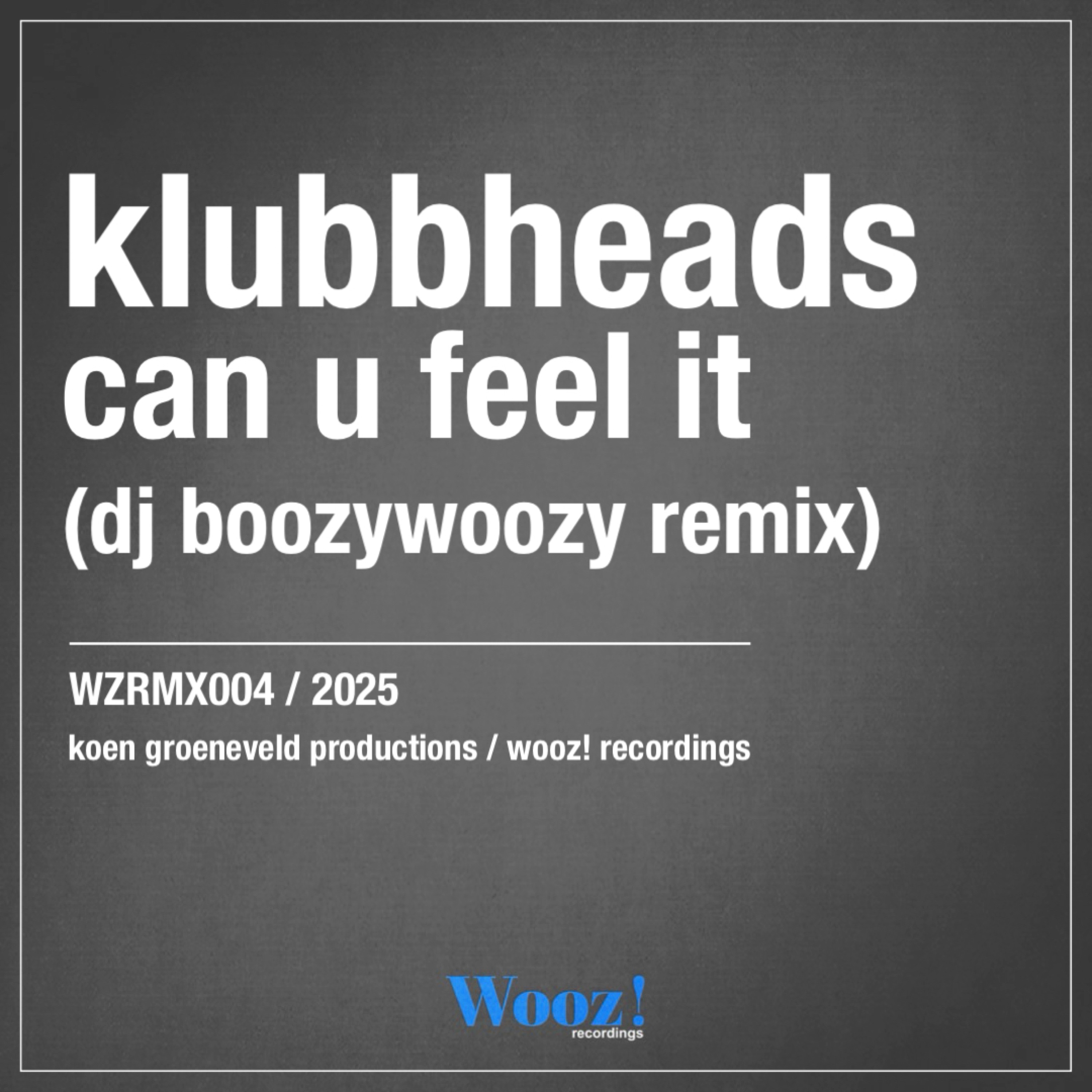 Can U Feel It (DJ BoozyWoozy Remix) - Single