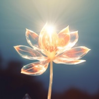 Meditative Glow of the Lotus - Healing Meditation Zone & Buddhist Lotus Sanctuary