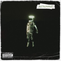 Astronaut - Flava Life Bars