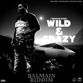 Wild & Crazy (Slow) [Slow Down] 1Biggs Don
