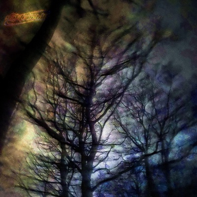 fading away (forever) (feat. rxscx) - Single