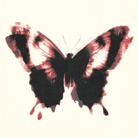 Liberte - Se da Dor (feat. VANGUARD) - Single - Digo