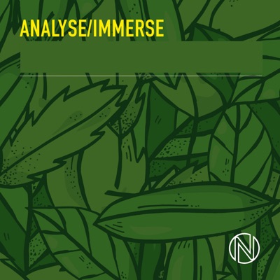 Analyse Immerse - EP