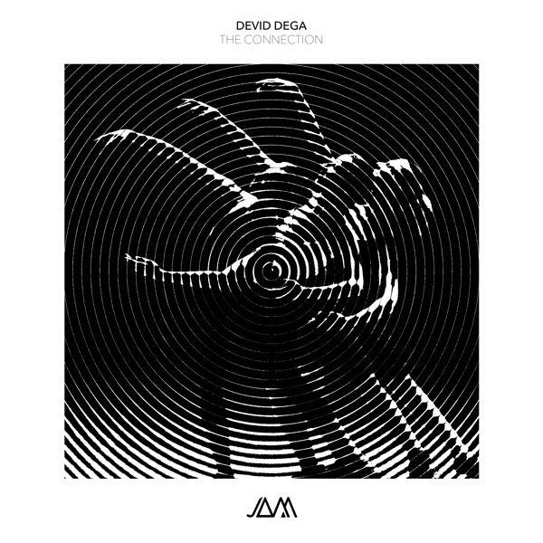 The Connection - Single