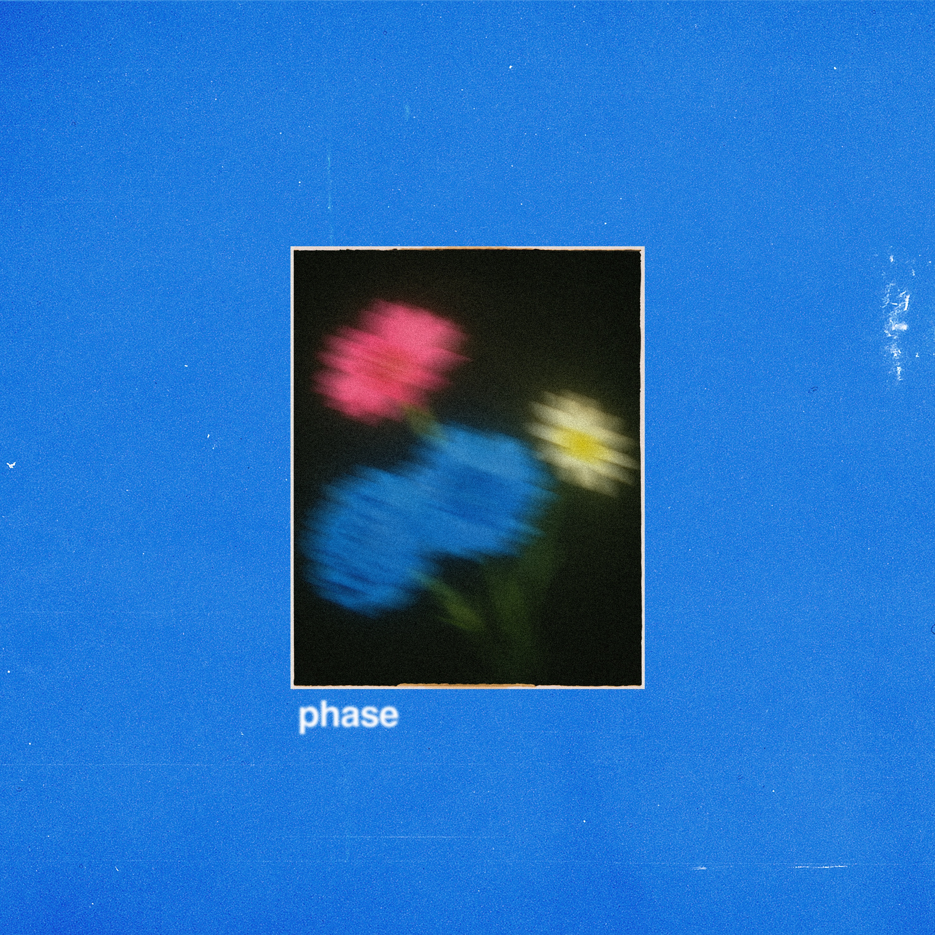 Polly - Phase