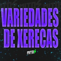 Variedades de Xerecas - Single - DJ Menor A15, Dj DS ASTUTO & Mc Neguinho do Morro