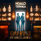 Ngalo Tshwala (feat. Senzo Afrika) artwork