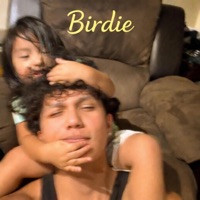 Birdie - Single - Kid Navi