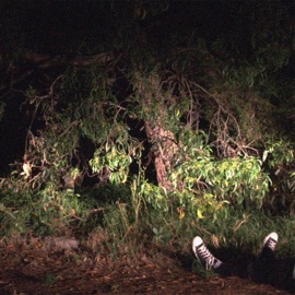 Retaliate Distracted