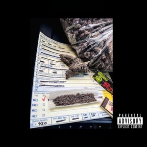 Rolling Weed On A Speeding Ticket