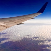 Jetlag Dreams - Single - MENTO