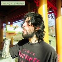 Chop Suey & Childlike Wonder - Single - Don Bloom