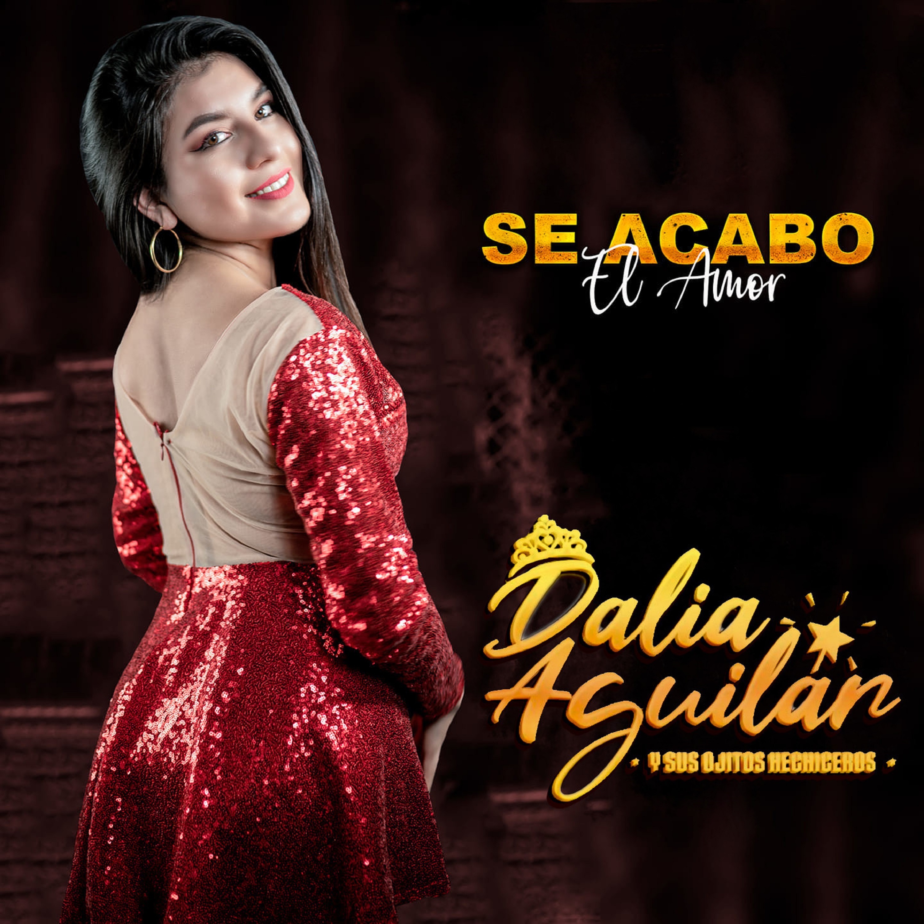Se Acabó el Amor - Single