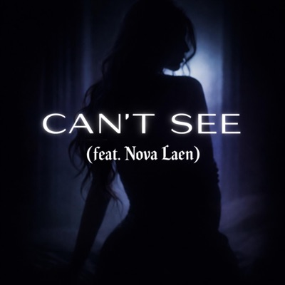 Can't See (feat. Nova Laen) - Single