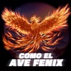 Como el Ave Fenix - Single