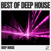 Deep House Vibes artwork