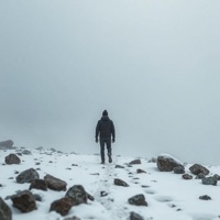 SNFL - Single - many