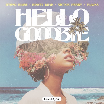 Hello Goodbye - Single