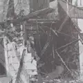 Buzzmonkey