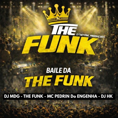 BAILE DA THEFUNK - Single