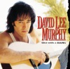 David Lee Murphy