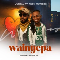 Wainyepa (feat. Juntal & Andy Muridzo) - Single - Tman Mount Zion
