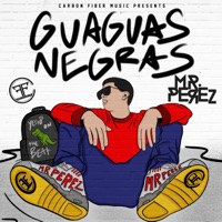 Guaguas Negras - Single - Mr. Perez