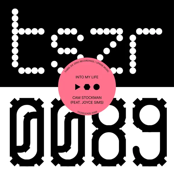 Into My Life \(feat. Joyce Sims\) by Cam Stockman – Apple Music