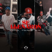 Se llenaron (feat. Yofre mr & Yefreeto rd) - Single - Negro hollywood