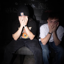 Beehive Chris Drewrey