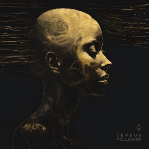 Follower - Single