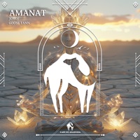 Amanat - Single - jovoj, Goose Tann & Cafe De Anatolia