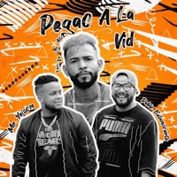 Pegao a la Vid (Remix) - Single - Xavi De Lo Alto