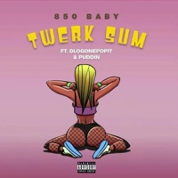 Twerk Sum (feat. Dlo gonepopit & Puddin) - Single - 850 Peezy