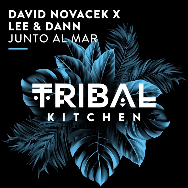 Junto al Mar - Single