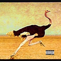 OSTRICH - Qung Xav