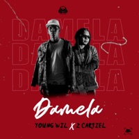Dámela Que Quiero (feat. youngwil rd & z cartiel) - Single - MykyMoneyRecords