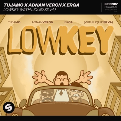 Lowkey (with Liquid Silva) - Single
