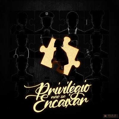 Privilégio não se encaixar (feat. Diêni Stuber & Dj rani no beat) - Single
