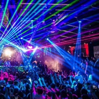 BOZO BONKERS - Single - Purple Shotty