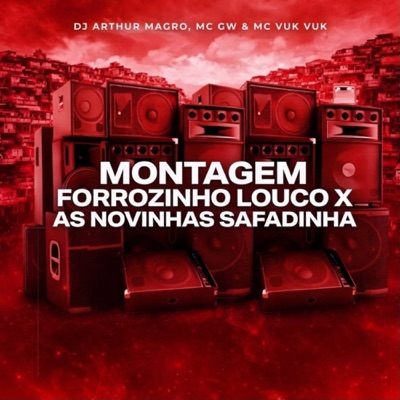Montagem Forrozinho Louco x As Novinhas Safadinha - Single