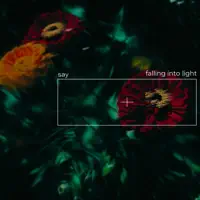 Say — Falling into LIght
