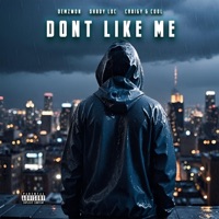 Dont Like Me (feat. Shady Loc & Craigy G Cool) - Single - Demzwon
