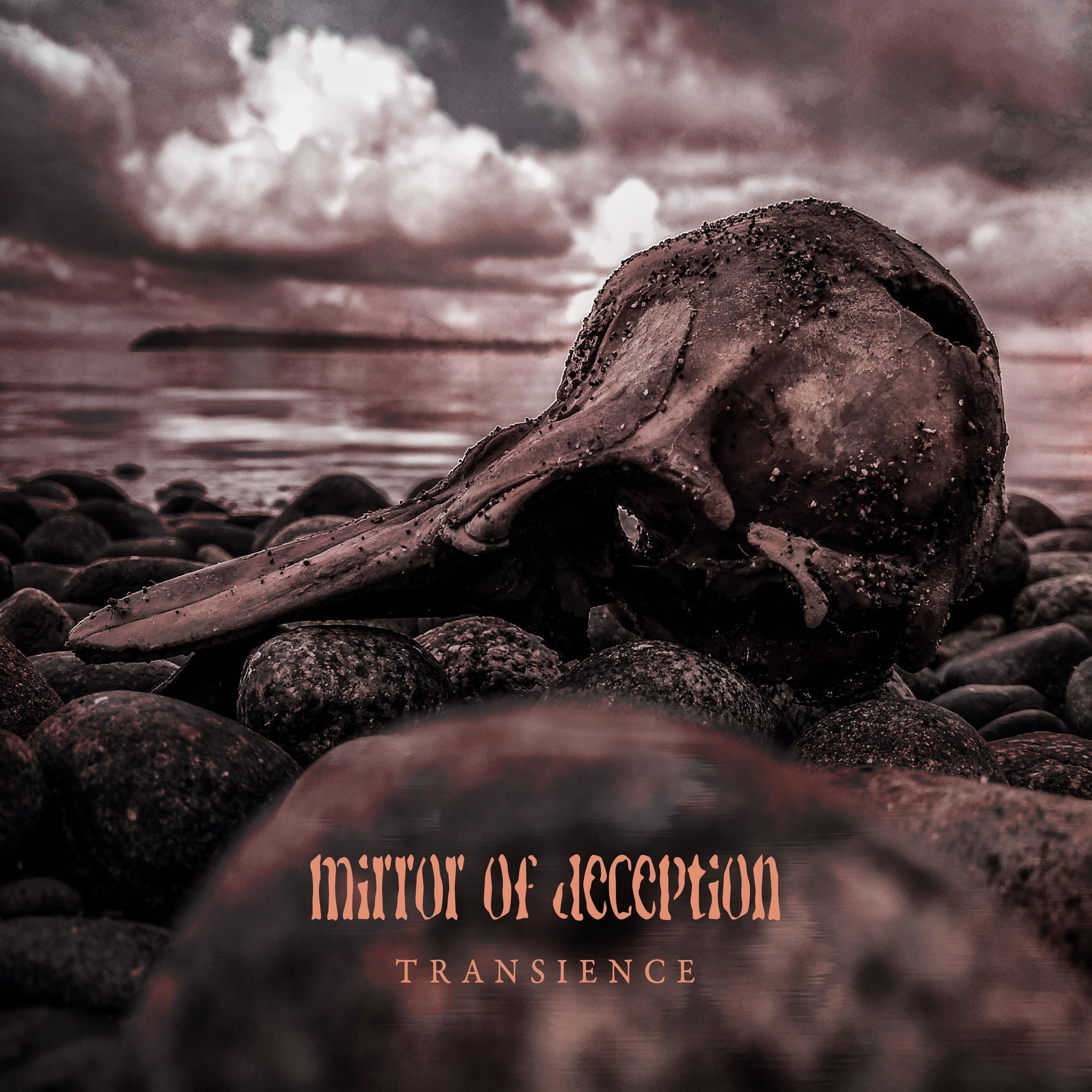 Transience